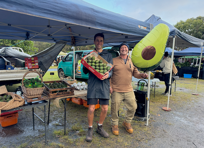 Axel Rod Farms Avocado